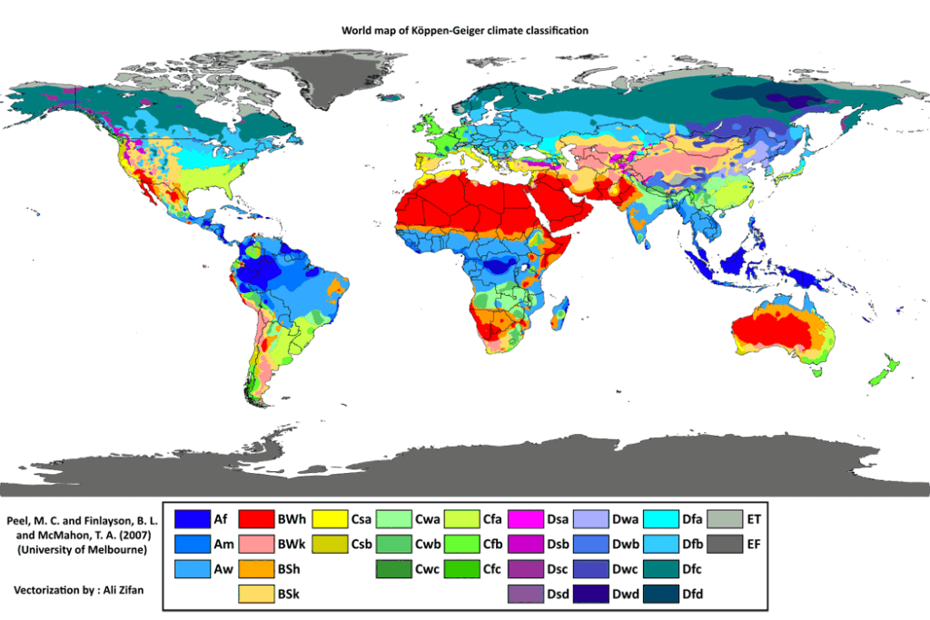 ferns distribution and habitat
