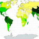 ferns distribution and habitat