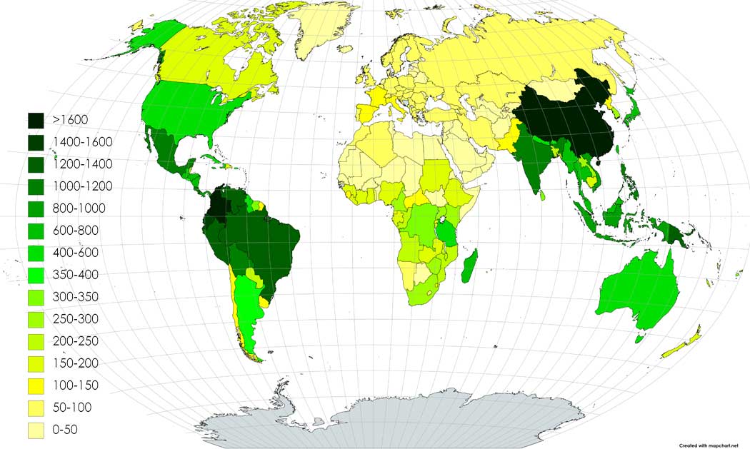 ferns Distribution and habitat